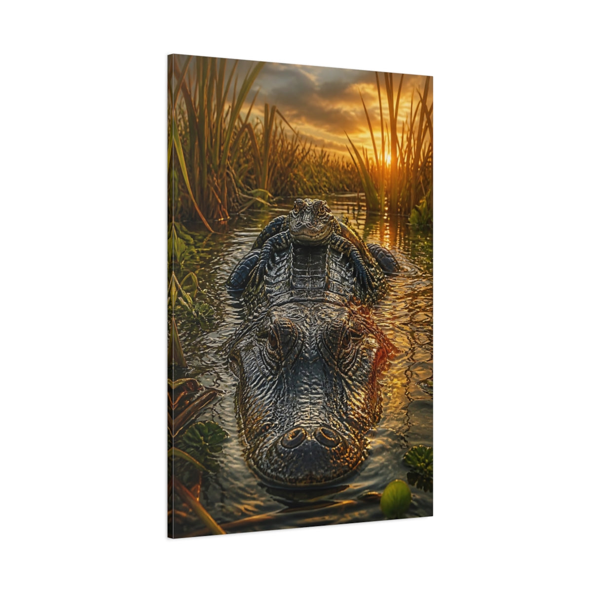 Side Mockup 1. Animals Alligators Alligator Sunset shown as stretched canvas wall art