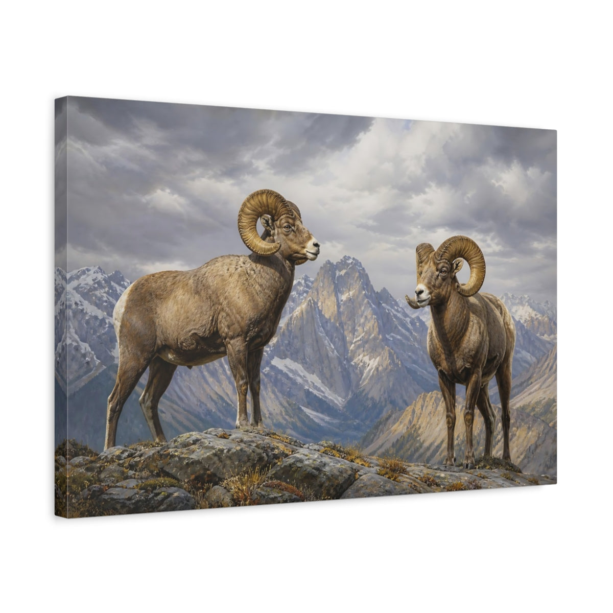 Side Mockup 3. Animals Bighorn Sheep Brown Grey Mountains shown as stretched canvas wall art