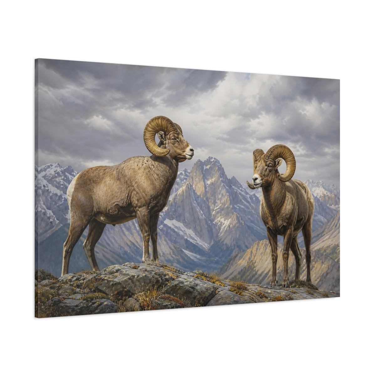 Side Mockup 1. Animals Bighorn Sheep Brown Grey Mountains shown as stretched canvas wall art