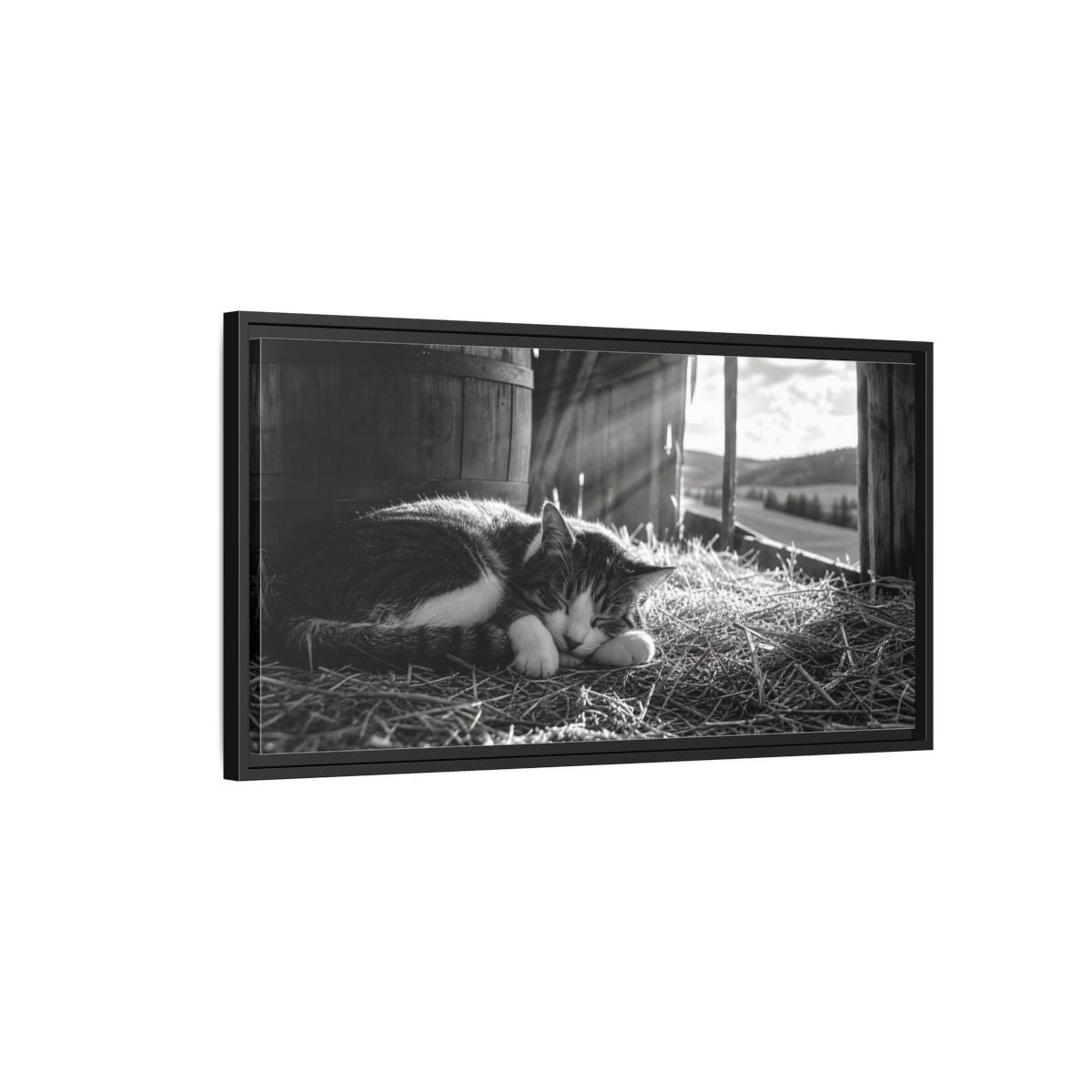 Side Mockup 2. Animals Cat Black And White Cat shown as stretched canvas wall art