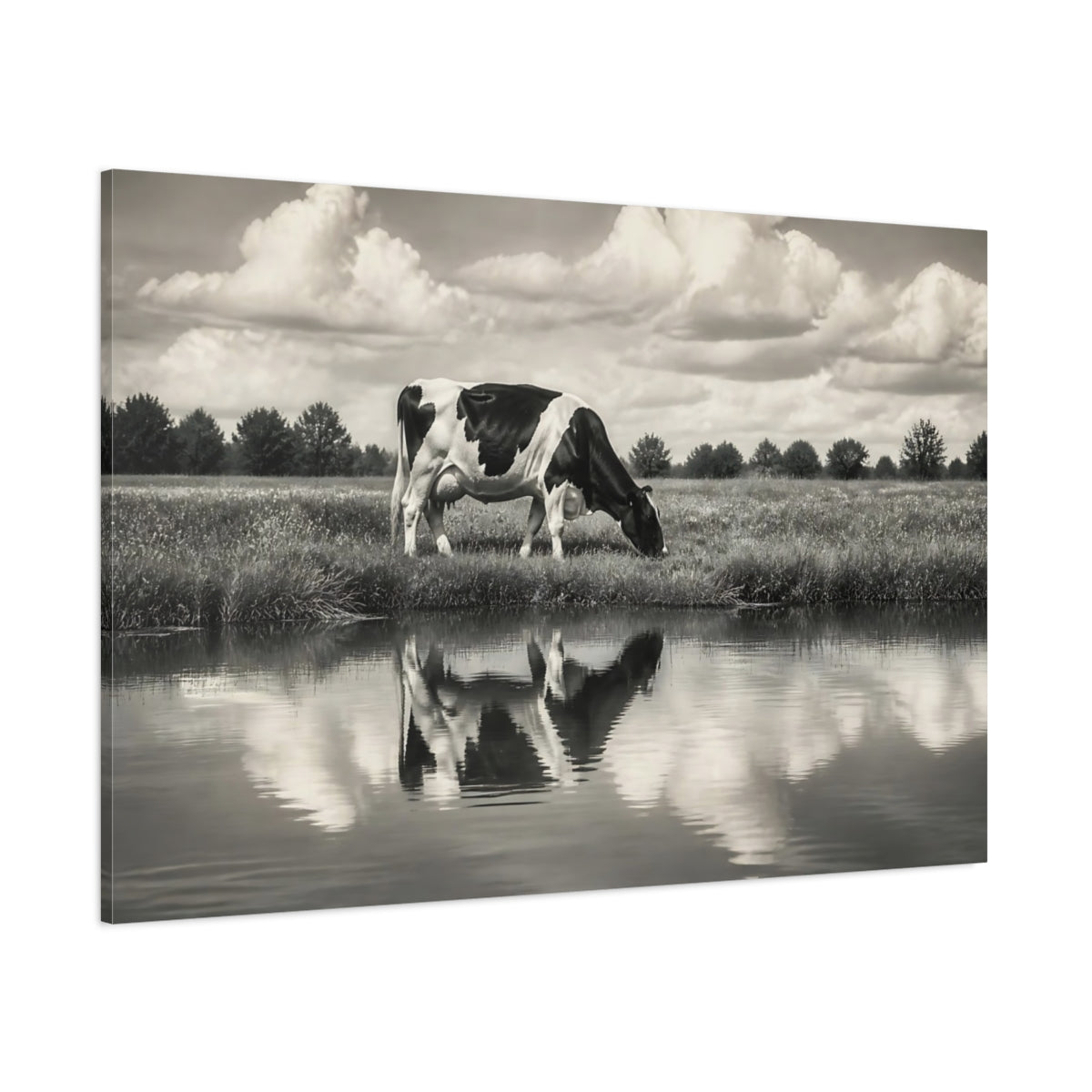 Side Mockup 1. Animals Cow Monochrome Cow shown as canvas print