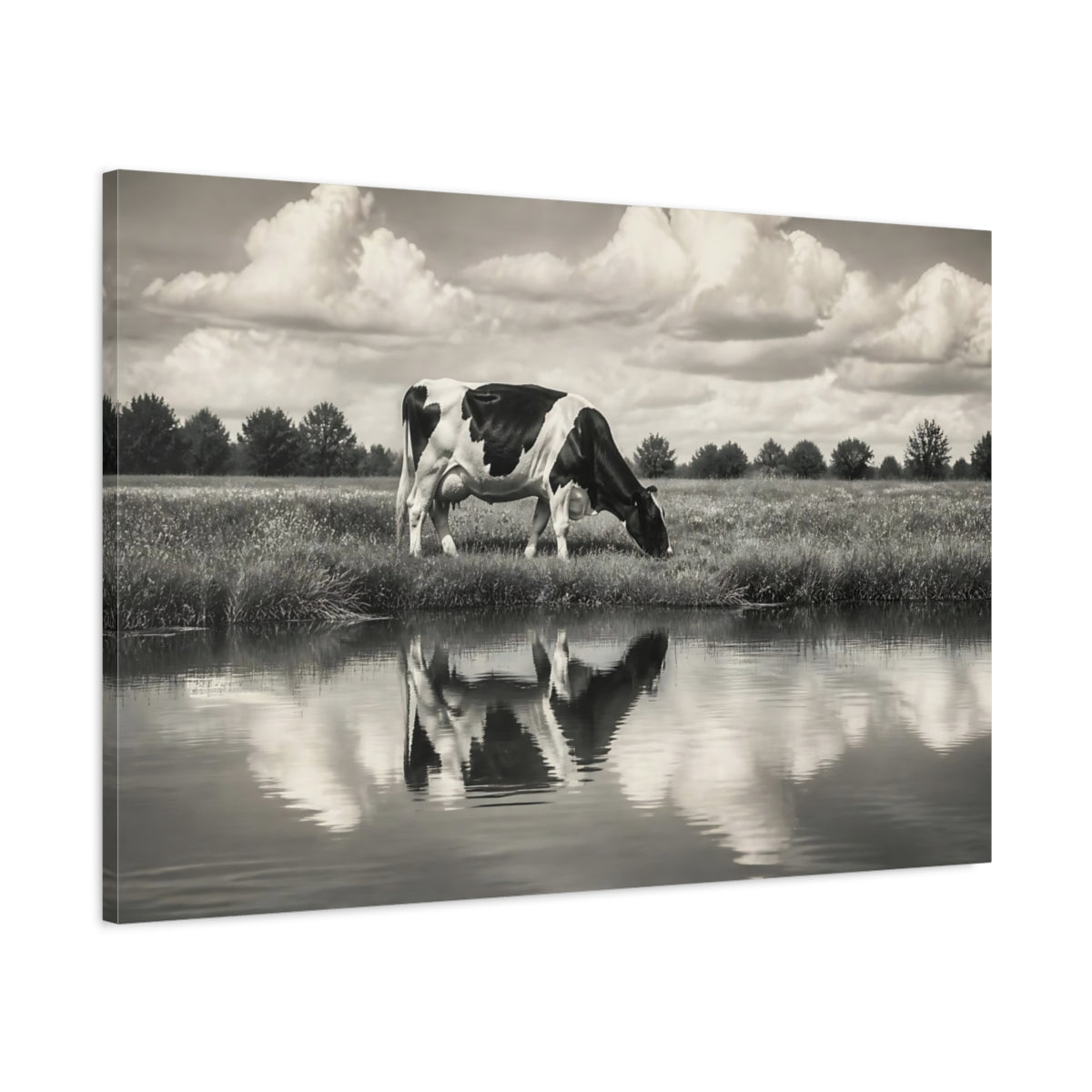 Main Mockup. Animals Cow Monochrome Cow shown as canvas print