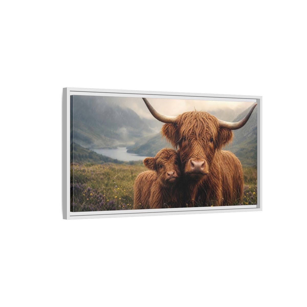 Side Mockup 1. Animals Highland Cattle Brown Highland Cattle shown as stretched canvas wall art