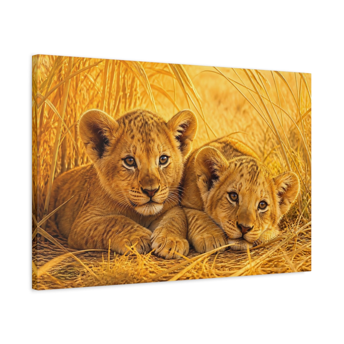 Side Mockup 2. Animals Lion Cubs Golden Lion Cubs shown as stretched canvas wall art