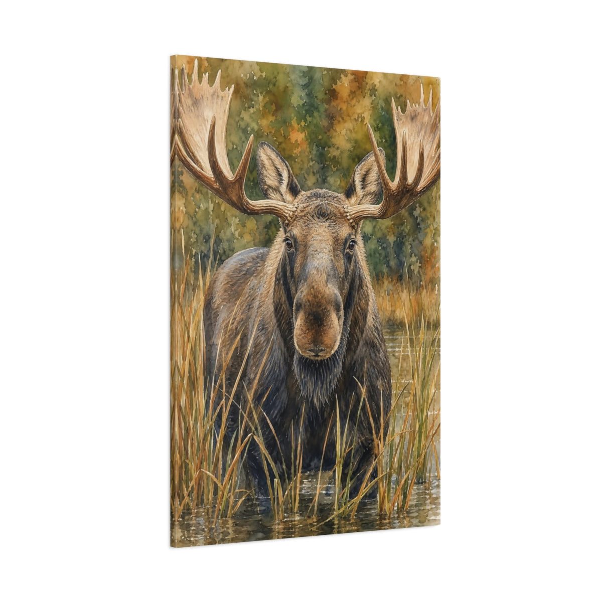 Side Mockup 1. Animals Moose Brown Moose Art shown as stretched canvas wall art