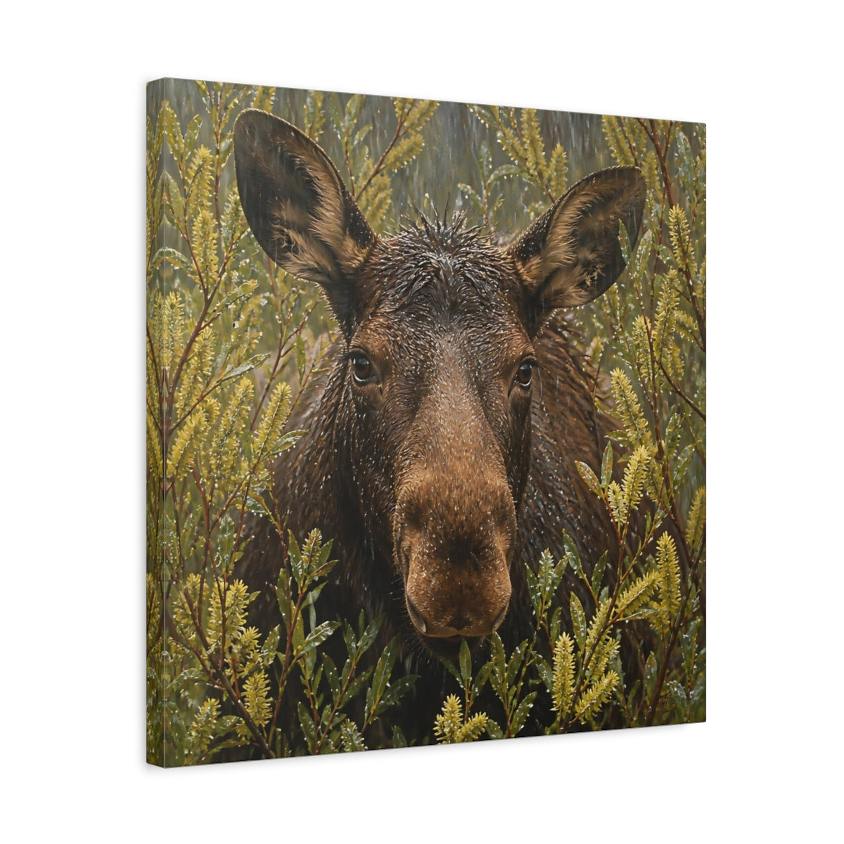 Side Mockup 5. Animals Moose Brown Moose shown as stretched canvas wall art