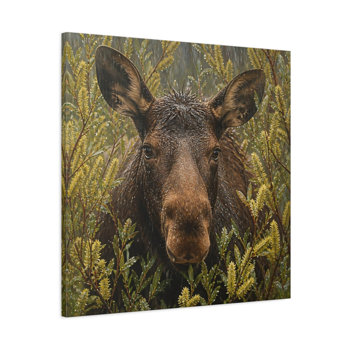 Side Mockup 3. Animals Moose Brown Moose shown as stretched canvas wall art