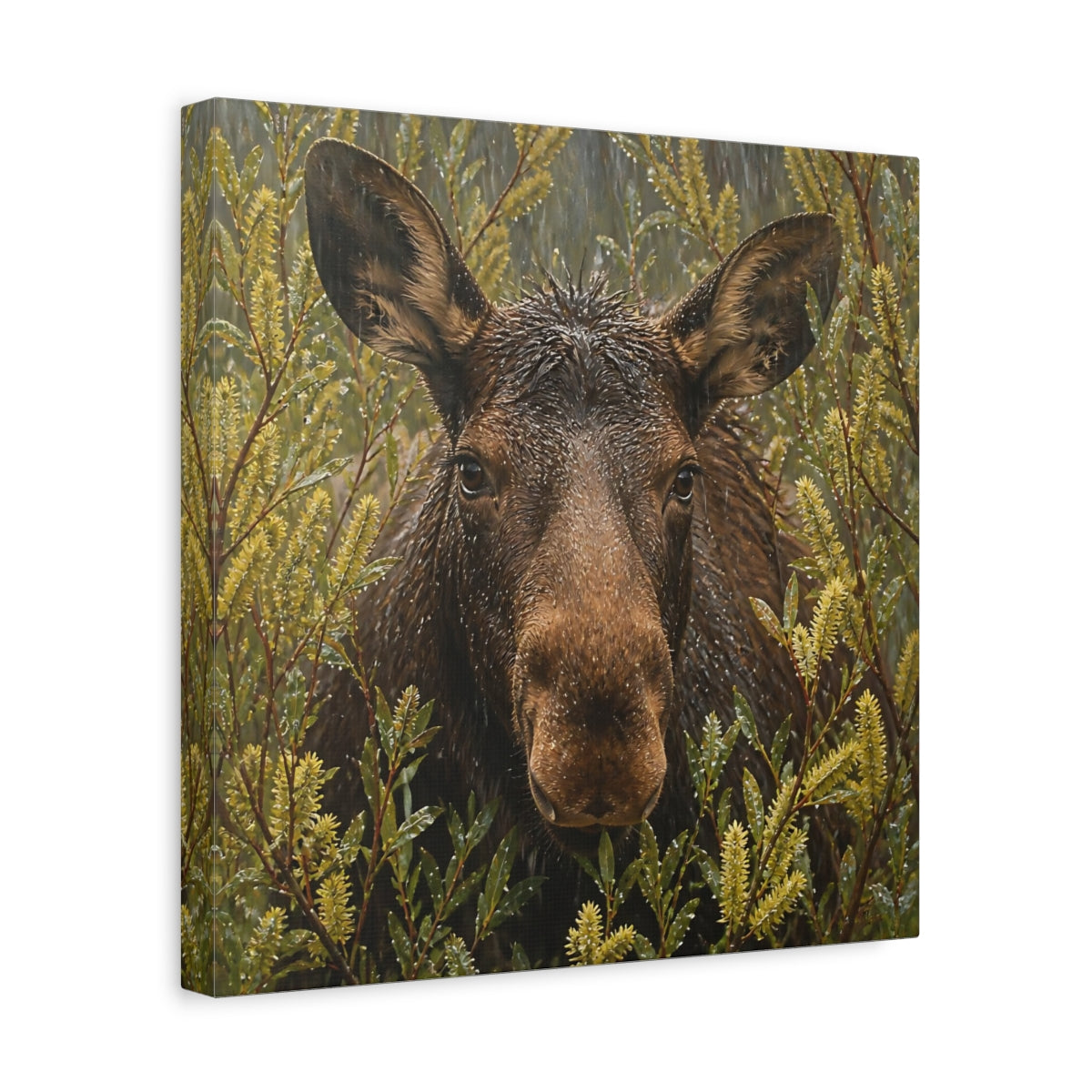 Side Mockup 7. Animals Moose Brown Moose shown as stretched canvas wall art