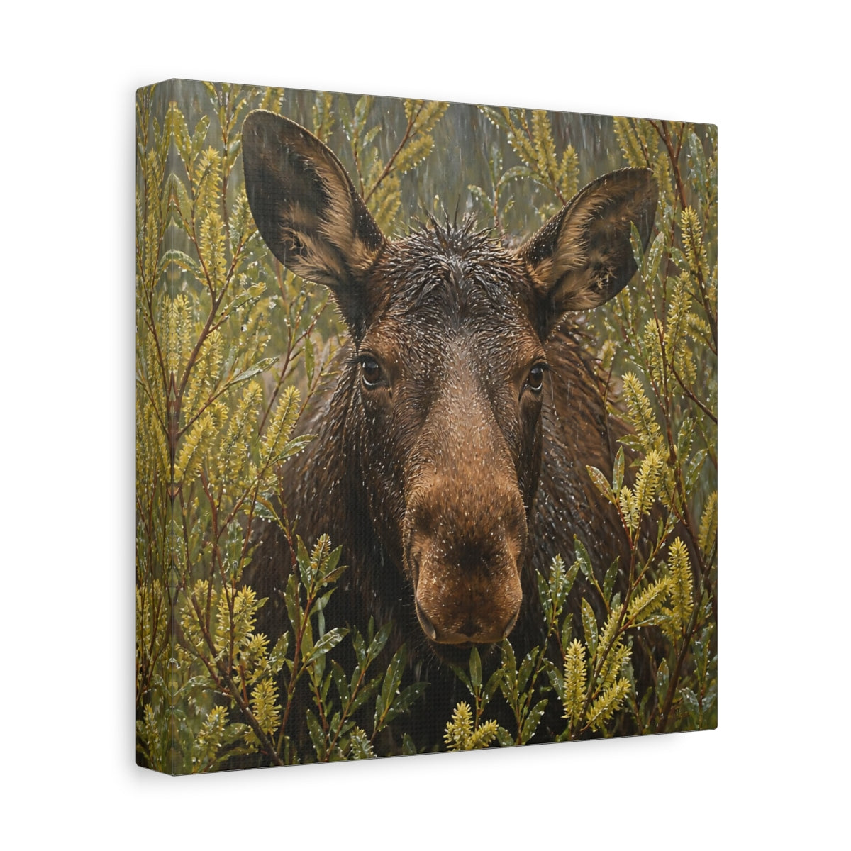 Side Mockup 9. Animals Moose Brown Moose shown as stretched canvas wall art