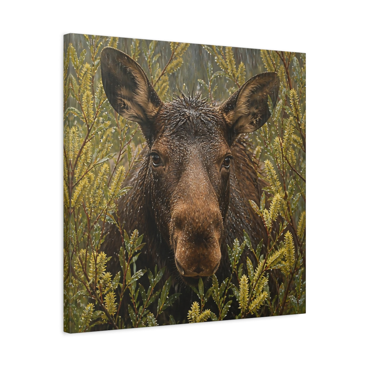 Side Mockup 4. Animals Moose Brown Moose shown as stretched canvas wall art