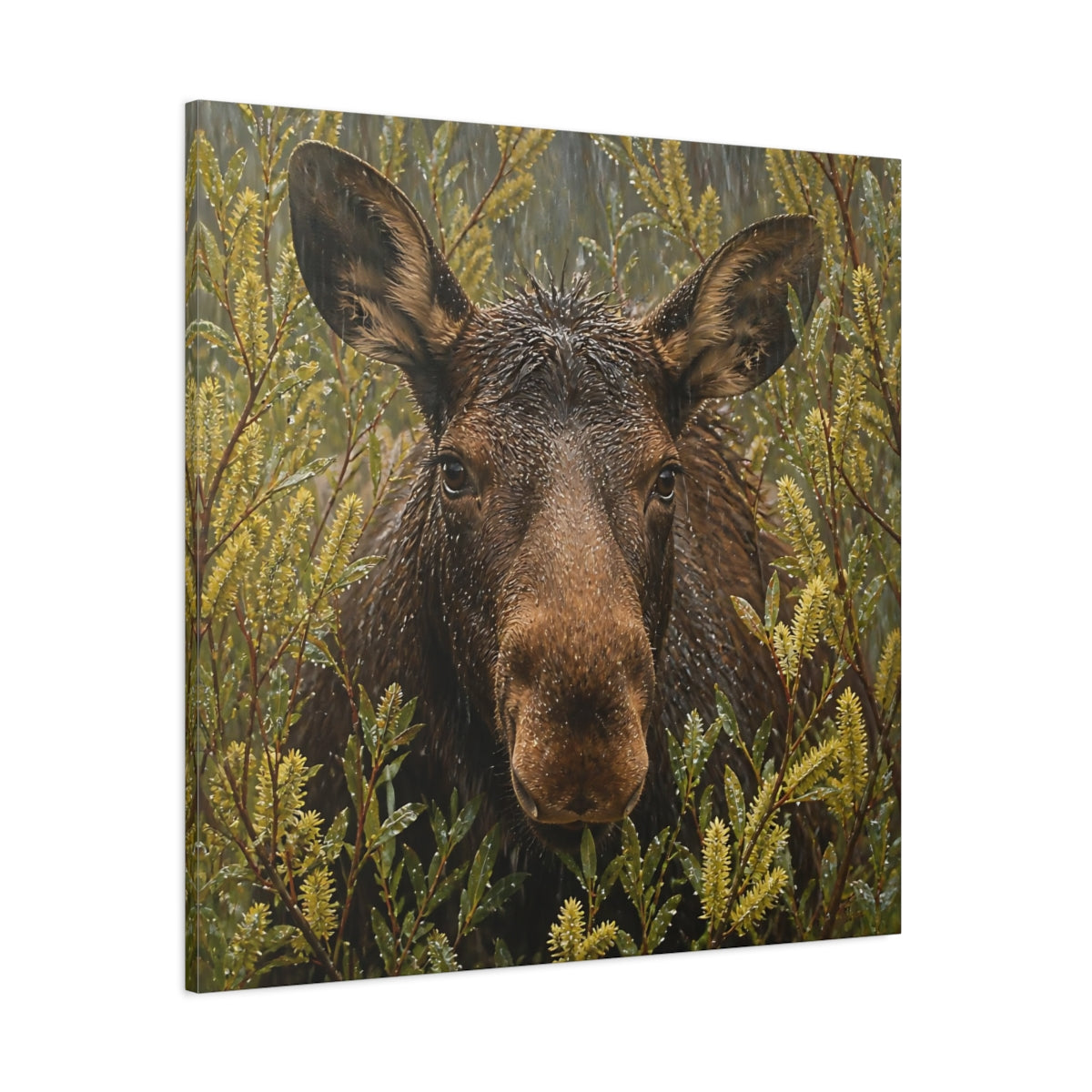 Side Mockup 1. Animals Moose Brown Moose shown as stretched canvas wall art