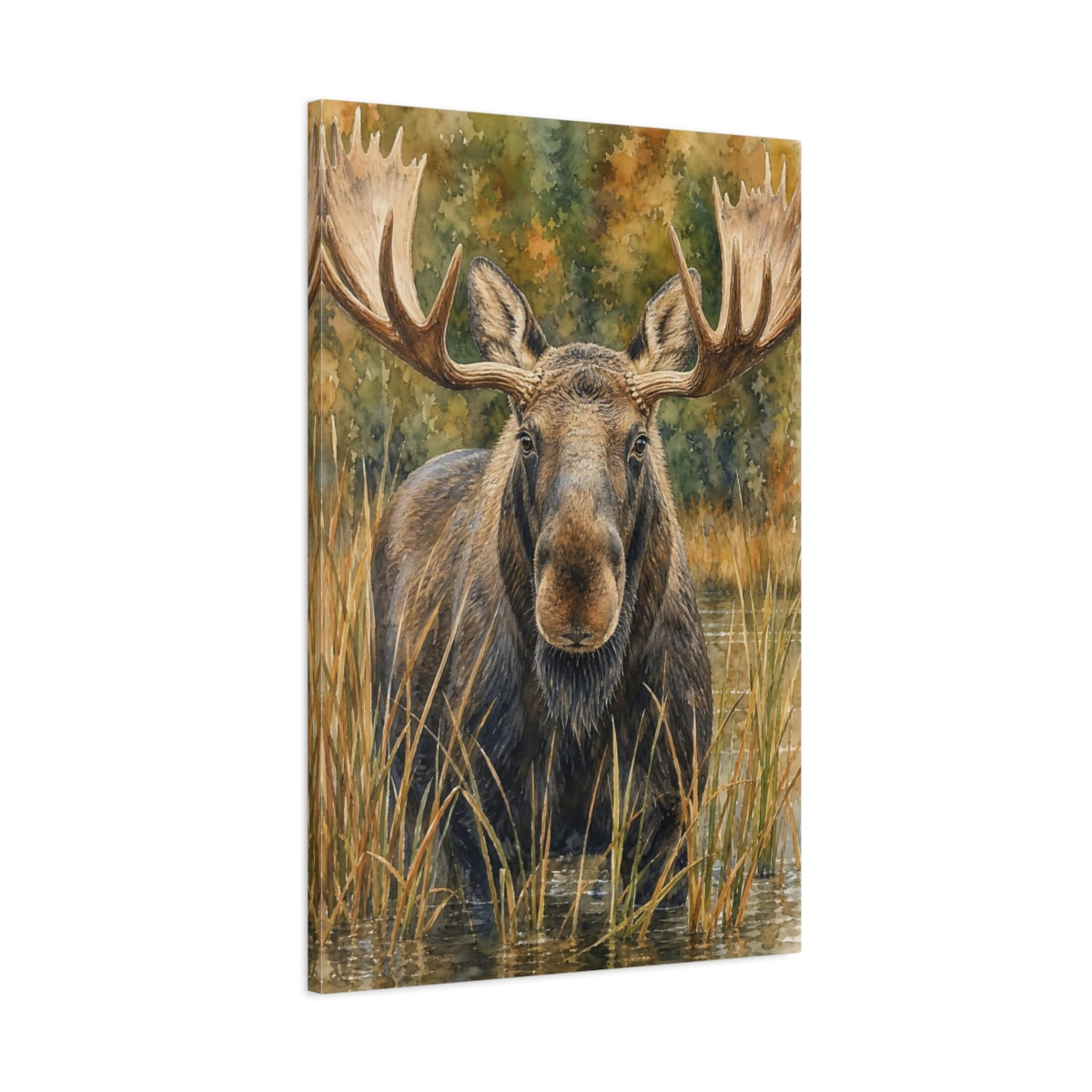 Main Mockup. Animals Moose Brown Moose Art shown as stretched canvas wall art