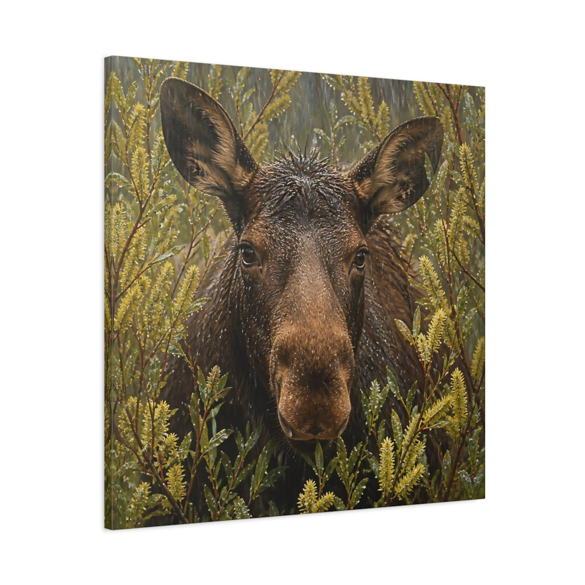 Main Mockup. Animals Moose Brown Moose shown as stretched canvas wall art