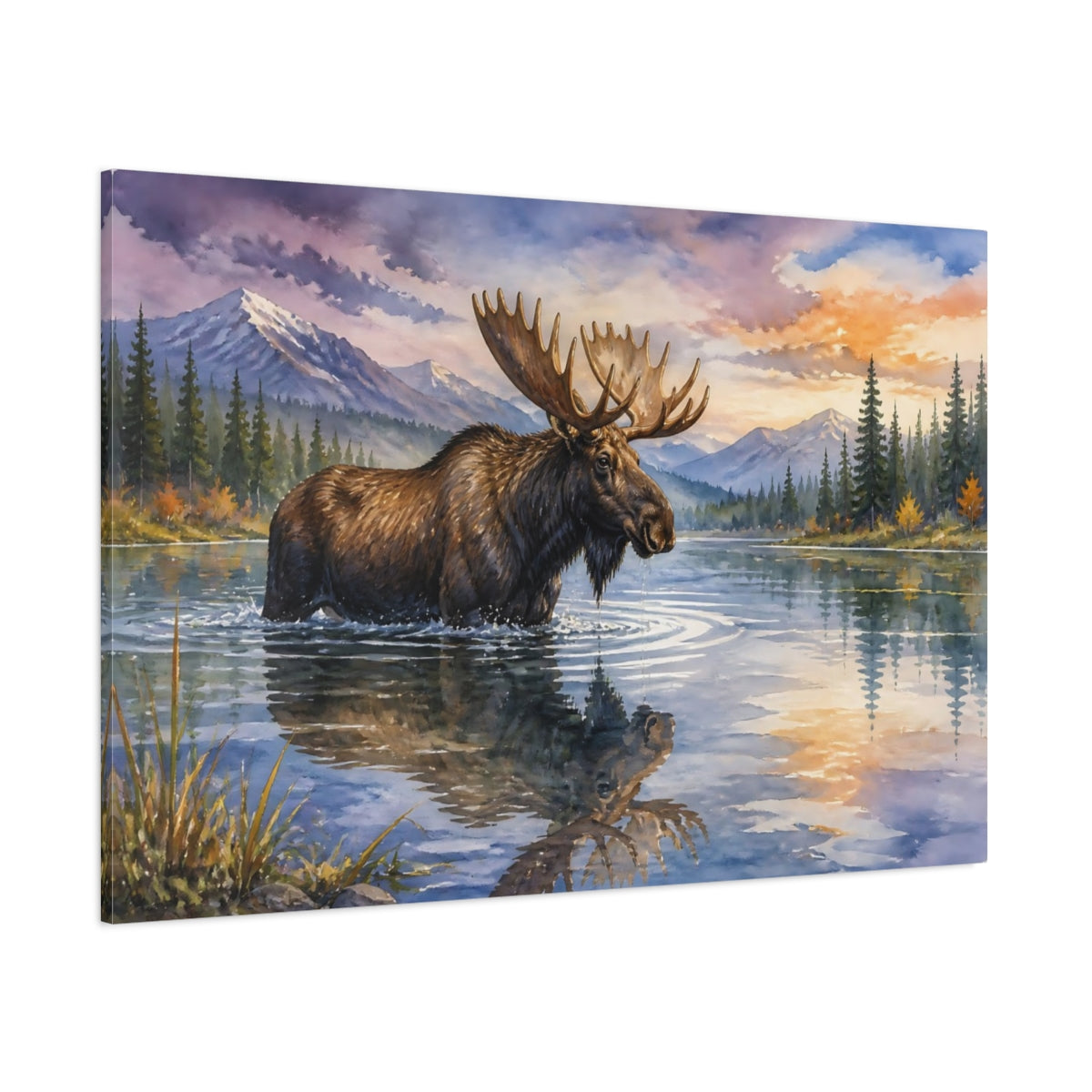 Side Mockup 1. Animals Moose Moose Wildlife Sunset shown as canvas print