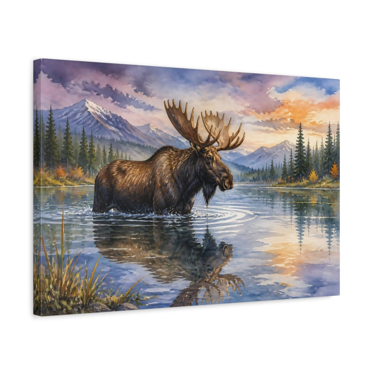 Side Mockup 3. Animals Moose Moose Wildlife Sunset shown as canvas print