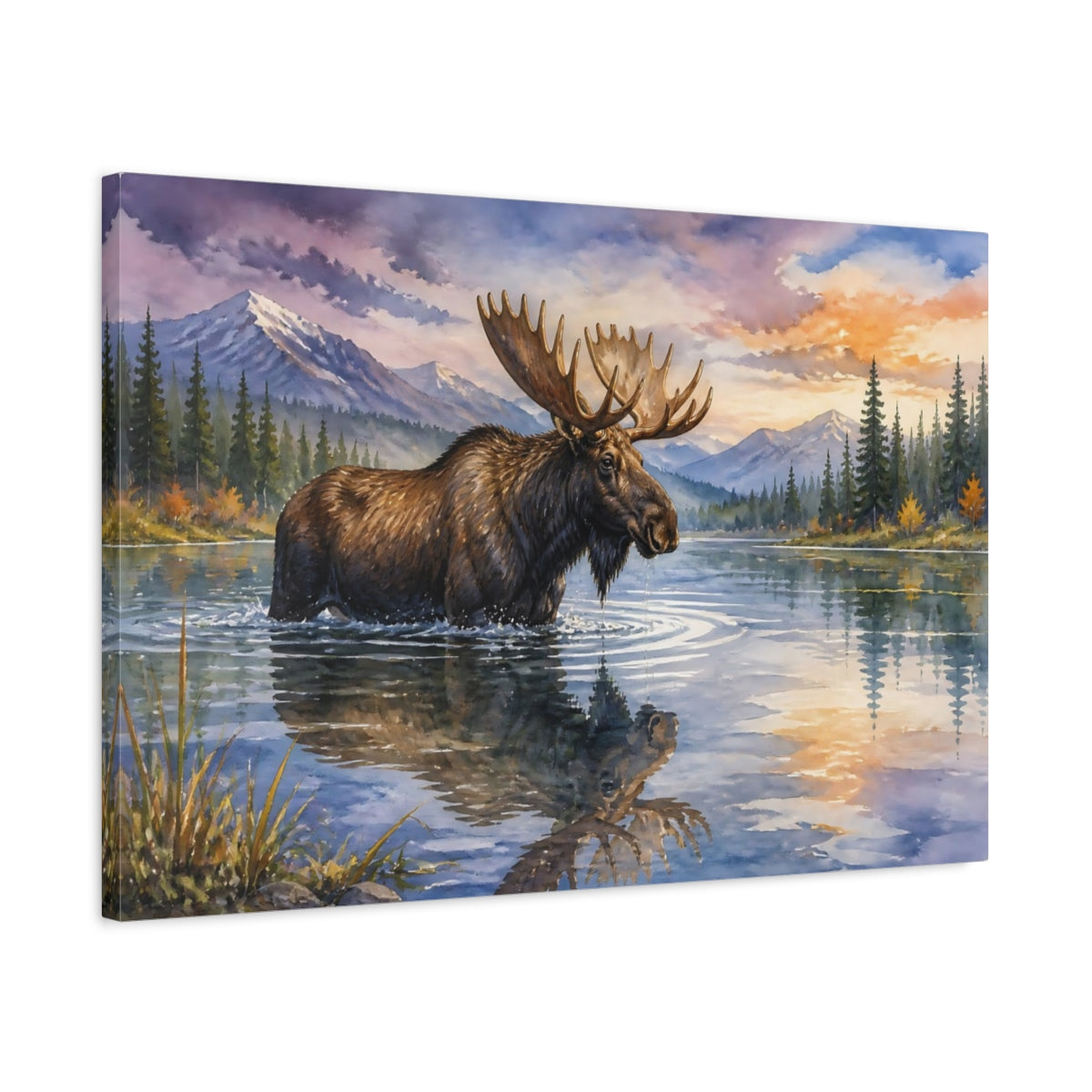 Side Mockup 2. Animals Moose Moose Wildlife Sunset shown as canvas print