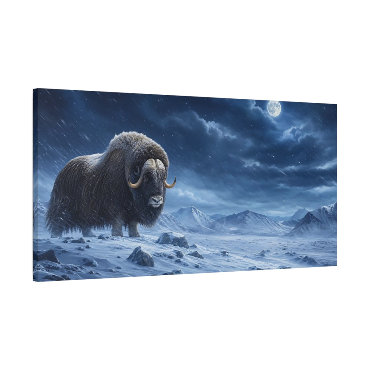 Main Mockup. Animals Musk Ox Blue Winter Animal shown as stretched canvas wall art