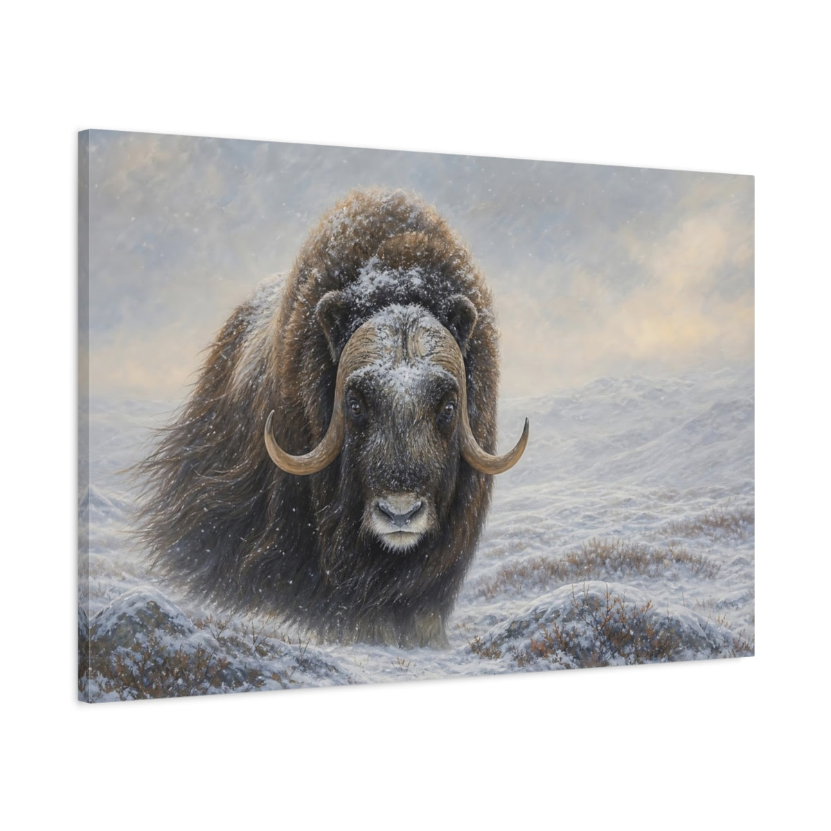 Main Mockup. Animals Musk Ox Brown Winter Animal shown as stretched canvas wall art