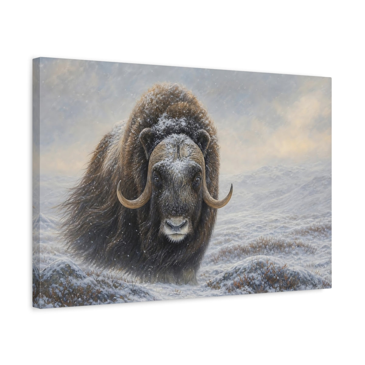 Side Mockup 3. Animals Musk Ox Brown Winter Animal shown as stretched canvas wall art
