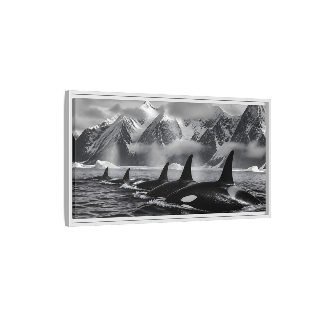 Side Mockup 1. Animals Orcas Monochrome Orcas shown as stretched canvas wall art