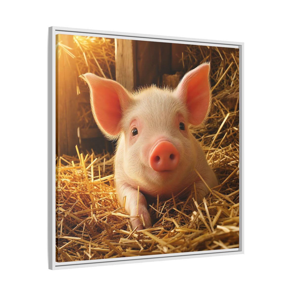 Side Mockup 25. Animals Piglet Cute Piglet shown as stretched canvas wall art