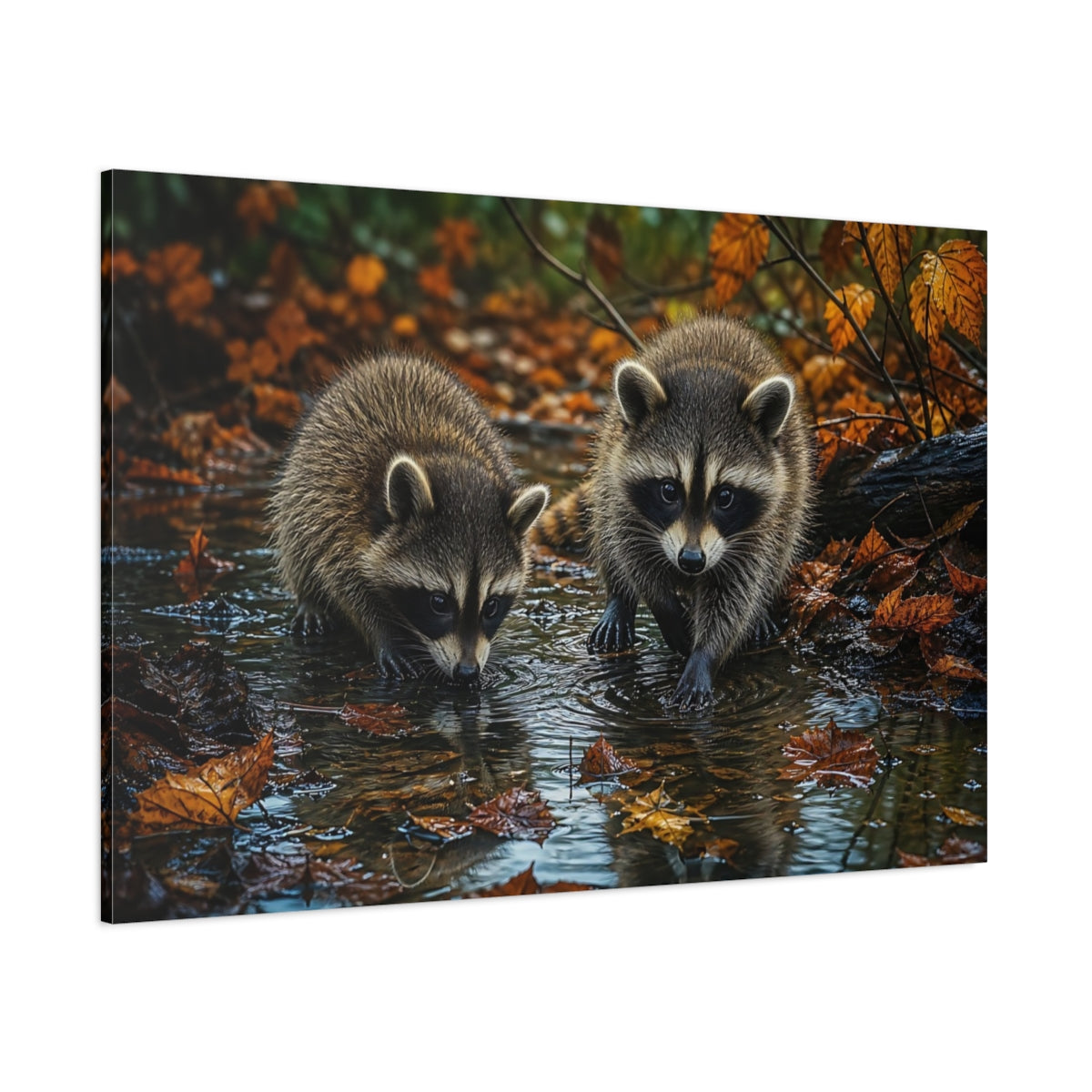 Side Mockup 1. Animals Raccoons Brown Raccoons shown as stretched canvas wall art