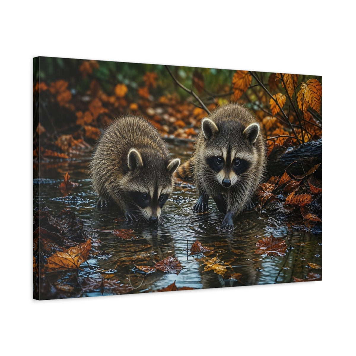 Side Mockup 2. Animals Raccoons Brown Raccoons shown as stretched canvas wall art