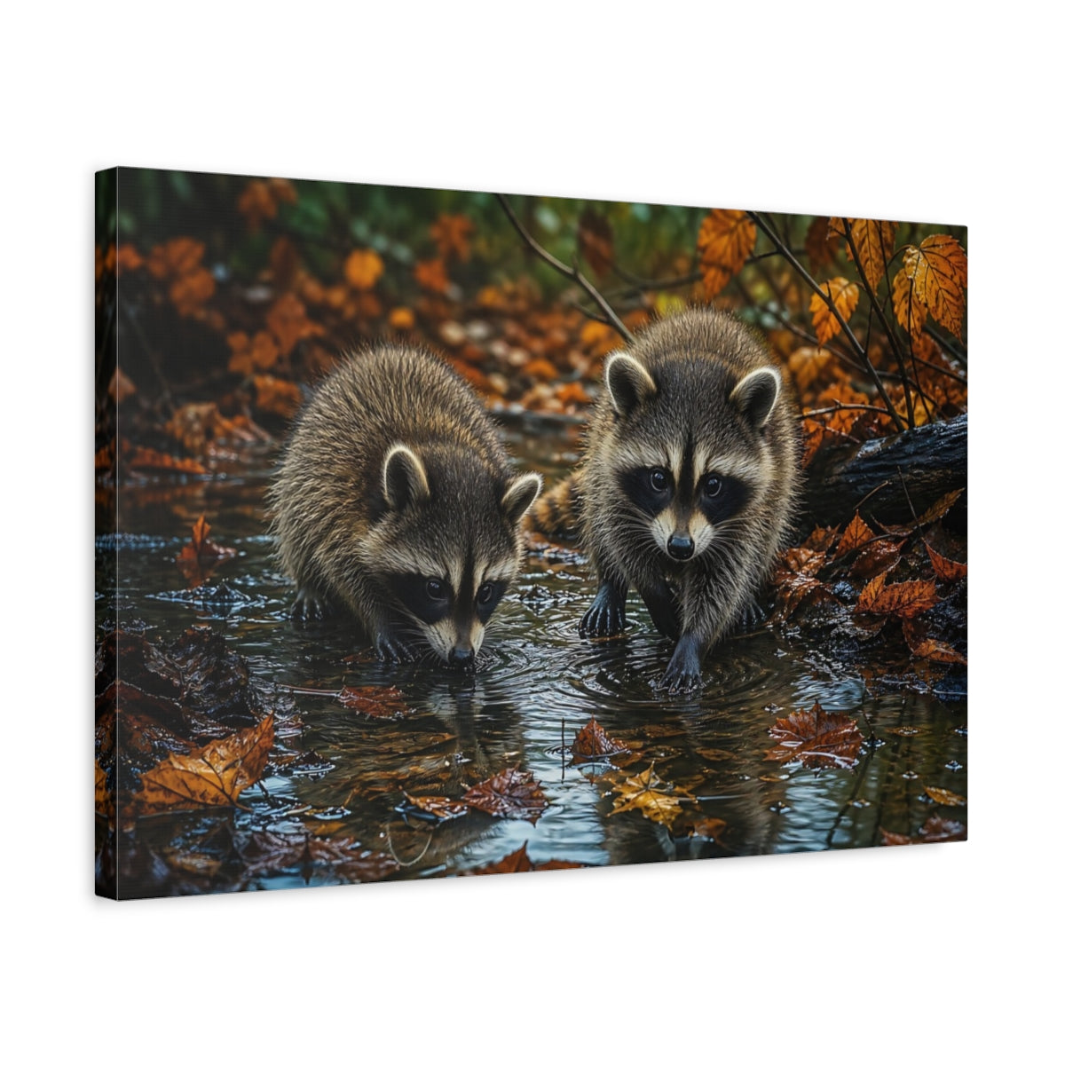 Side Mockup 3. Animals Raccoons Brown Raccoons shown as stretched canvas wall art