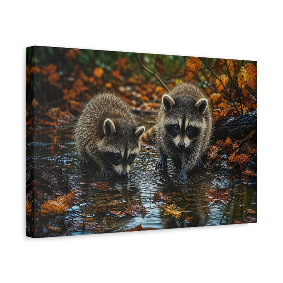 Side Mockup 4. Animals Raccoons Brown Raccoons shown as stretched canvas wall art
