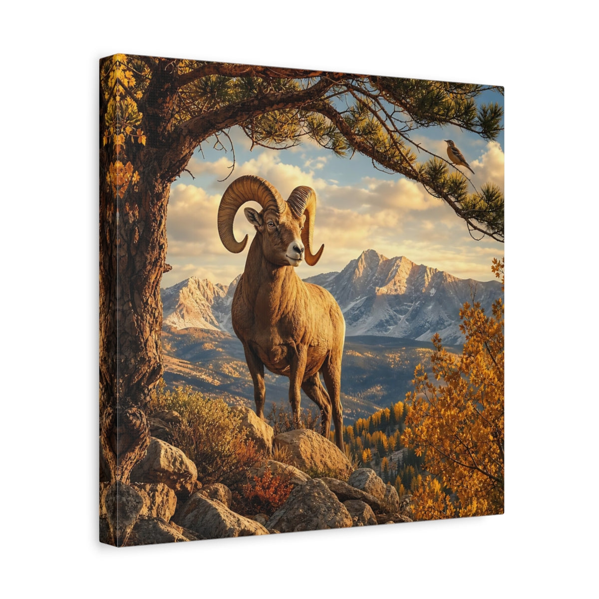 Side Mockup 7. Nature Bighorn Sheep Bighorn Sheep Mountains shown as stretched canvas wall art